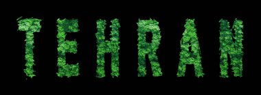 Tahran harfleri, Tahran Ormanı Ekolojisi Siyah, Kırpma Yolu Konsepti