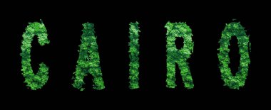 Kahire harfleri, Kahire Ormanı Ekolojisi Siyah, Kırpma Yolu Konsepti