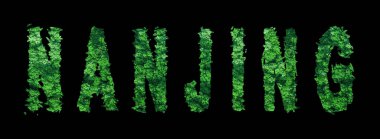 Nanjing harfleri, Nanjing Ormanı Ekolojisi Siyah, Kırpma Yolu Konsepti