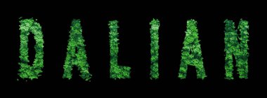 Dalian harfleri, Dalian Ormanı Ekolojisi Siyahlar Konsepti, Kırpma Yolu