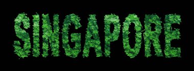 Singapur harfleri, Singapur Ormanı Ekolojisi Siyahlar Üzerine Kavram, Kırpma Yolu