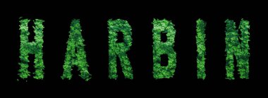 Harbin harfleri, Harbin Ormanı Ekolojisi Siyah Konsepti, Kırpma Yolu