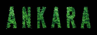 Ankara mektupları, Ankara Orman Ekolojisi Siyahi Kavramı, Kırpma Yolu