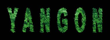 Yangon harfleri, Yangon Ormanı Ekolojisi Siyah Konsepti, Kırpma Yolu