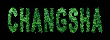 Changsha harfleri, Changsha Ormanı Ekolojisi Siyahlar Üzerine Kavram, Kırpma Yolu