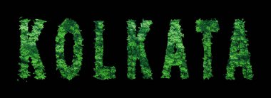 Kolkata harfleri, Kolkata Ormanı Ekolojisi Siyah, Kırpma Yolu Konsepti