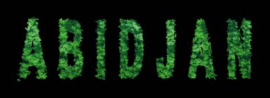 Abidjan yazıtları, Abidjan Ormanı Ekolojisi Siyah, Kırpma Yolu Konsepti