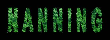 Nanning harfleri, Nanning Ormanı Ekolojisi Siyah, Kırpma Yolu Konsepti