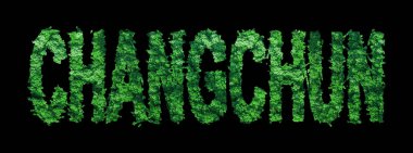 Changchun Harfleri, Changchun Ormanı Ekolojisi Siyah, Kırpma Yolu Konsepti