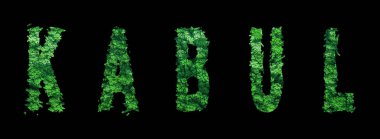 Kabil harfleri, Kabil Ormanı Ekolojisi Siyahi, Kırpma Yolu Konsepti