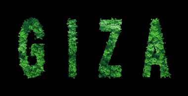 Giza harfleri, Giza Ormanı Ekolojisi Siyah, Kırpma Yolu Konsepti