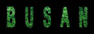 Busan harfleri, Busan Ormanı Ekolojisi Siyah, Kırpma Yolu Konsepti