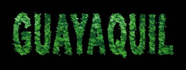 Guayaquil Harfleri, Guayaquil Ormanı Ekolojisi Siyah, Kırpma Yolu Konsepti