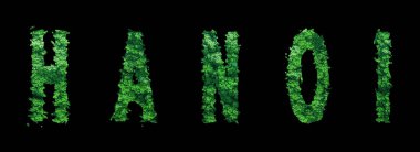 Hanoi harfleri, Hanoi Ormanı Ekolojisi Siyah, Kırpma Yolu Konsepti