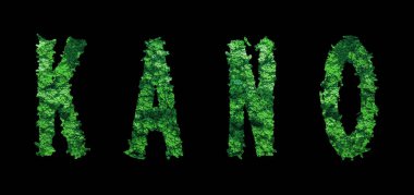 Kano harfleri, Kano Ormanı Ekolojisi Siyah, Kırpma Yolu Konsepti