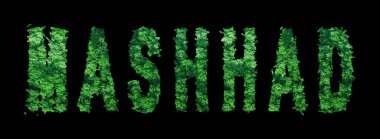 Mashhad harfleri, Mashhad Ormanı Ekolojisi Siyah, Kırpma Yolu Konsepti