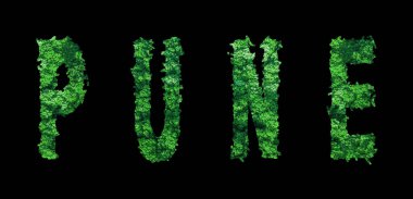 Pune harfleri, Pune Ormanı Ekolojisi Siyah, Kırpma Yolu Konsepti