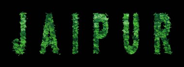 Jaipur harfleri, Jaipur Ormanı Ekolojisi Siyah, Kırpma Yolu Konsepti