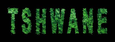 Tshwane harfleri, Tshwane Ormanı Ekolojisi Siyah, Kırpma Yolu Konsepti