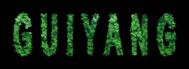 Guiyang harfleri, Guiyang Ormanı Ekolojisi Siyah, Kırpma Yolu Konsepti