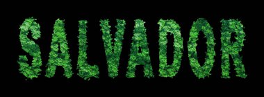 Salvador Harfleri, Salvador Ormanı Ekolojisi Siyahi Konsepti, Kırpma Yolu