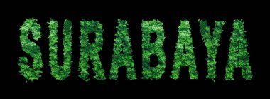 Surabaya harfleri, Surabaya Ormanı Ekolojisi Siyah, Kırpma Yolu Konsepti