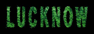 Lucknow Harfleri, Lucknow Ormanı Ekolojisi Siyah, Kırpma Yolu Konsepti