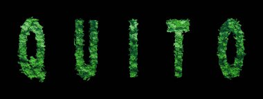 Quito harfleri, Quito Ormanı Ekolojisi Siyah, Kırpma Yolu Konsepti