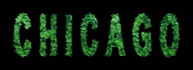 Chicago Harfleri, Chicago Orman Ekolojisi Siyahi Konsepti, Kırpma Yolu