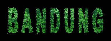 Bandung harfleri, Bandung Ormanı Ekolojisi Siyah, Kırpma Yolu Konsepti