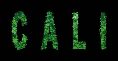 Cali harfleri, Cali Ormanı Ekolojisi Siyah, Kırpma Yolu Konsepti