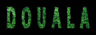 Douala harfleri, Douala Ormanı Ekolojisi Siyah, Kırpma Yolu Konsepti