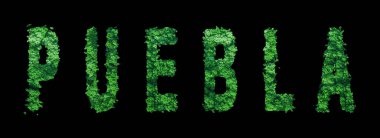 Puebla harfleri, Puebla Ormanı Ekolojisi Siyah, Kırpma Yolu Konsepti