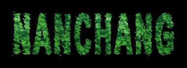 Nanchang harfleri, Nanchang Ormanı Ekolojisi Siyah, Kırpma Yolu Konsepti