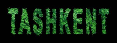 Taşkent harfleri, Taşkent Ormanı Ekolojisi Siyah, Kırpma Yolu Konsepti