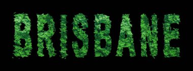 Brisbane harfleri, Brisbane Ormanı Ekolojisi Siyah, Kırpma Yolu Konsepti