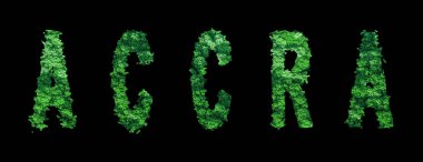 Accra harfleri, Accra Ormanı Ekolojisi Siyah, Kırpma Yolu Konsepti