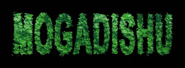 Mogadişu harfleri, Mogadişu Ormanı Ekolojisi Siyah, Kırpma Yolu Konsepti