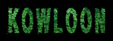 Kowloon harfleri, Kowloon Ormanı Ekolojisi Siyah, Kırpma Yolu Konsepti