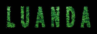 Luanda Harfleri, Luanda Ormanı Ekolojisi Siyah, Kırpma Yolu Konsepti