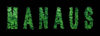 Manaus harfleri, Manaus Ormanı Ekolojisi Siyah, Kırpma Yolu Konsepti