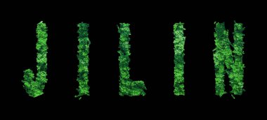 Jilin harfleri, Jilin Ormanı Ekolojisi Siyah, Kırpma Yolu Konsepti