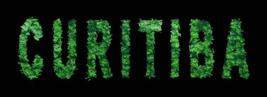 Curitiba harfleri, Curitiba Ormanı Ekolojisi Siyah, Kırpma Yolu Konsepti