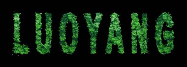 Luoyang harfleri, Luoyang Ormanı Ekolojisi Siyah, Kırpma Yolu Konsepti