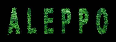 Halep harfleri, Halep Ormanı Ekolojisi Siyah, Kırpma Yolu Konsepti