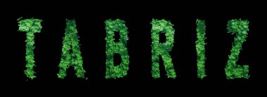 Tabriz harfleri, Tabriz Ormanı Ekolojisi Siyah, Kırpma Yolu Konsepti