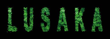 Lusaka Harfleri, Lusaka Orman Ekolojisi Siyahi Konsepti, Kırpma Yolu