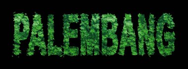 Palembang harfleri, Palembang Ormanı Ekolojisi Siyah, Kırpma Yolu Konsepti