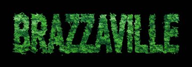 Brazzaville harfleri, Brazzaville Ormanı Ekolojisi Siyah, Kırpma Yolu Konsepti