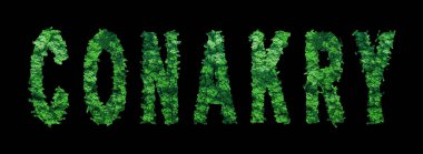 Conakry harfleri, Conakry Ormanı Ekolojisi Siyah, Kırpma Yolu Konsepti